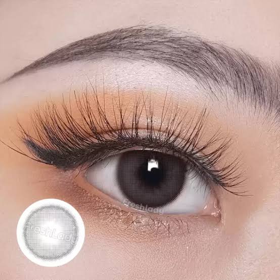 Bassia Grey